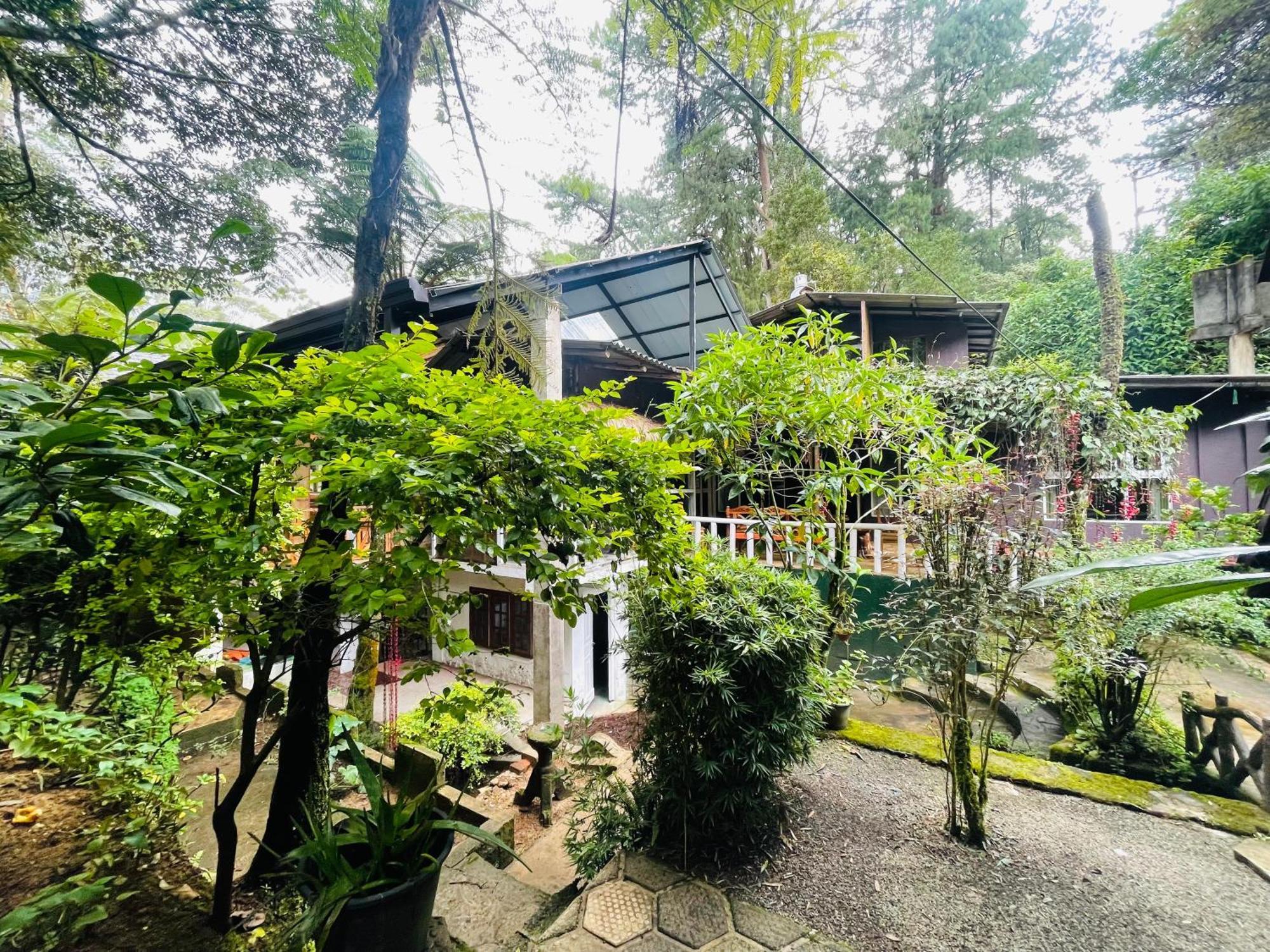 King Fern Cottage Nuwara Eliya Exterior photo