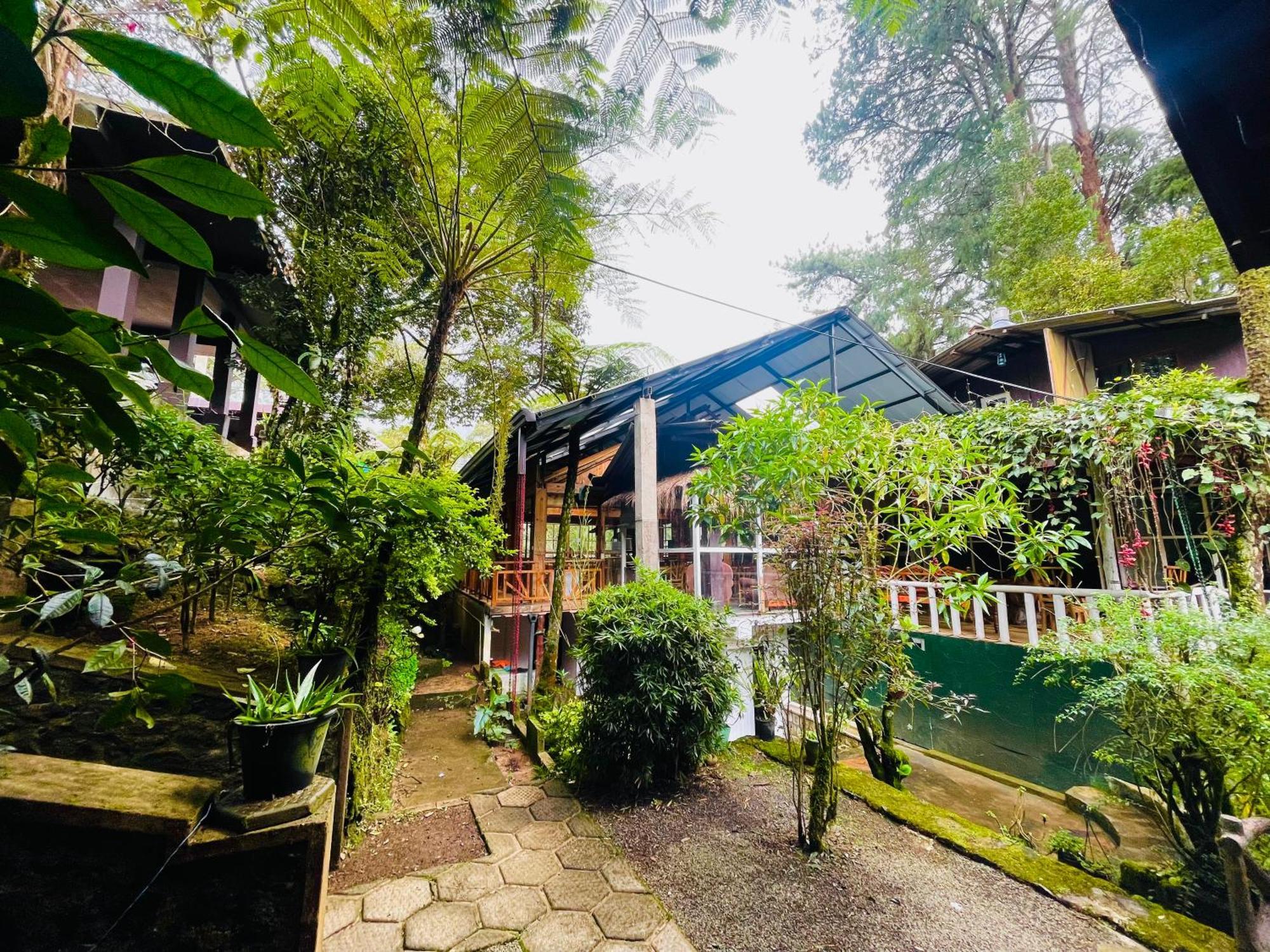 King Fern Cottage Nuwara Eliya Exterior photo