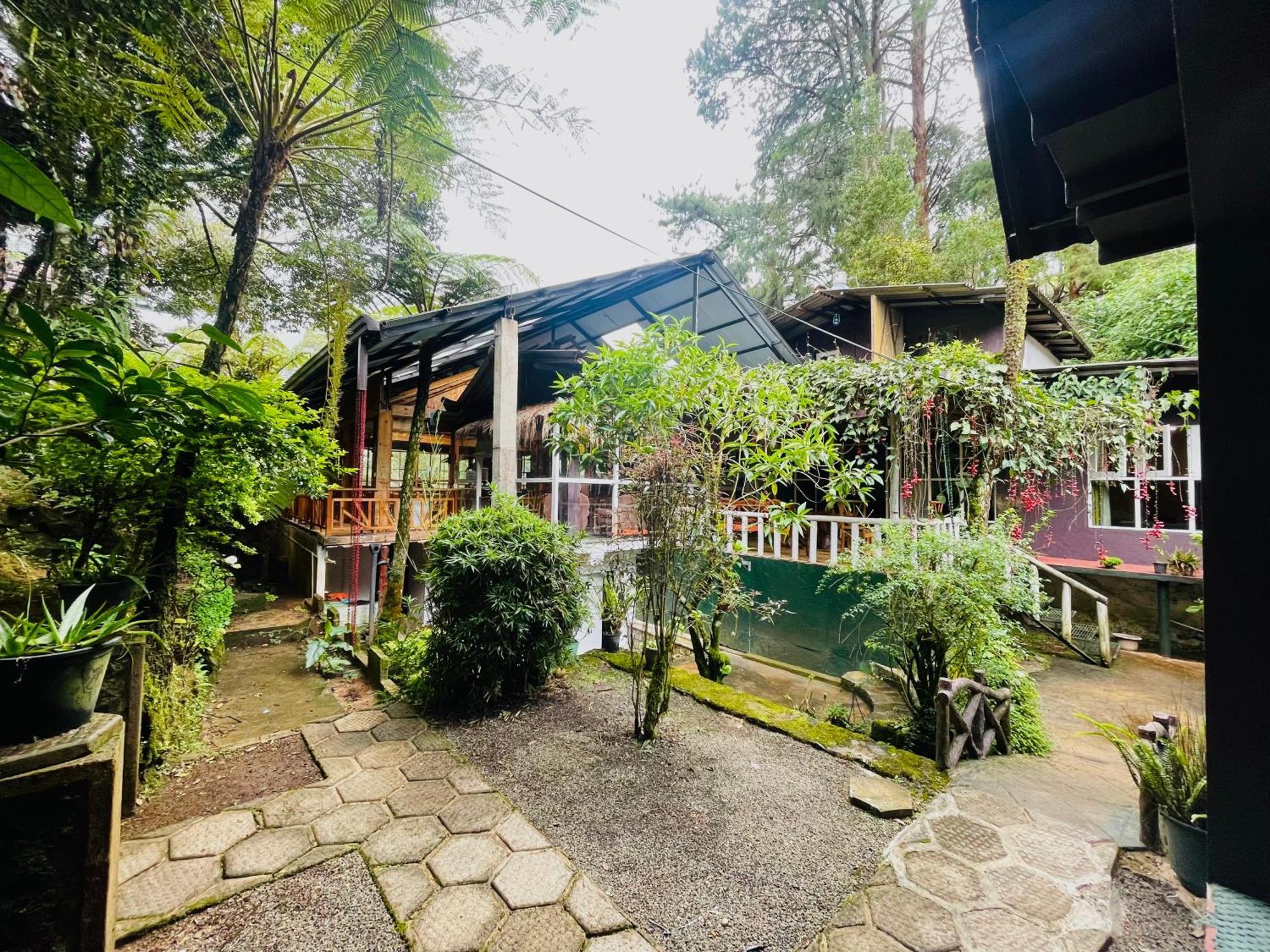 King Fern Cottage Nuwara Eliya Exterior photo