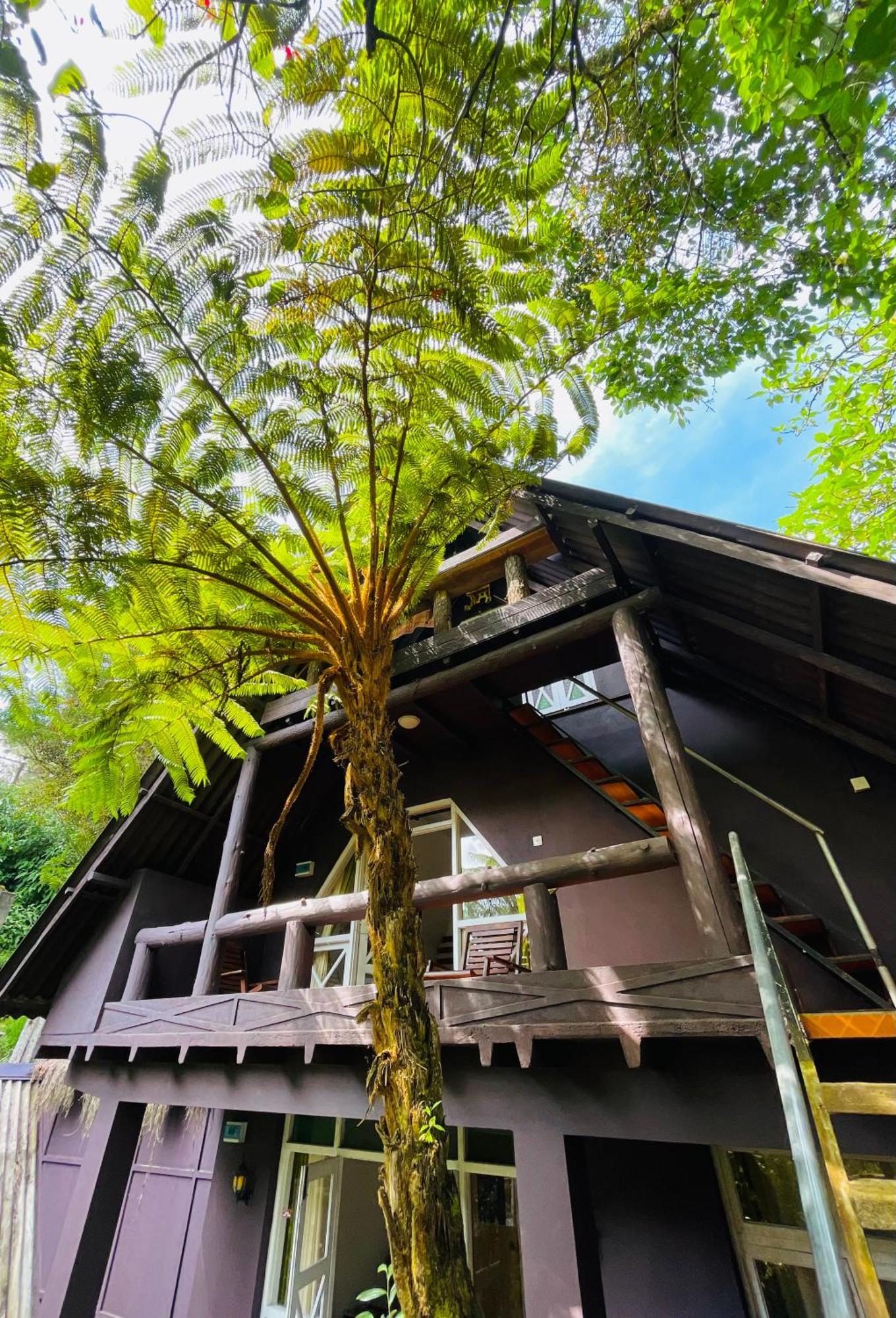 King Fern Cottage Nuwara Eliya Exterior photo
