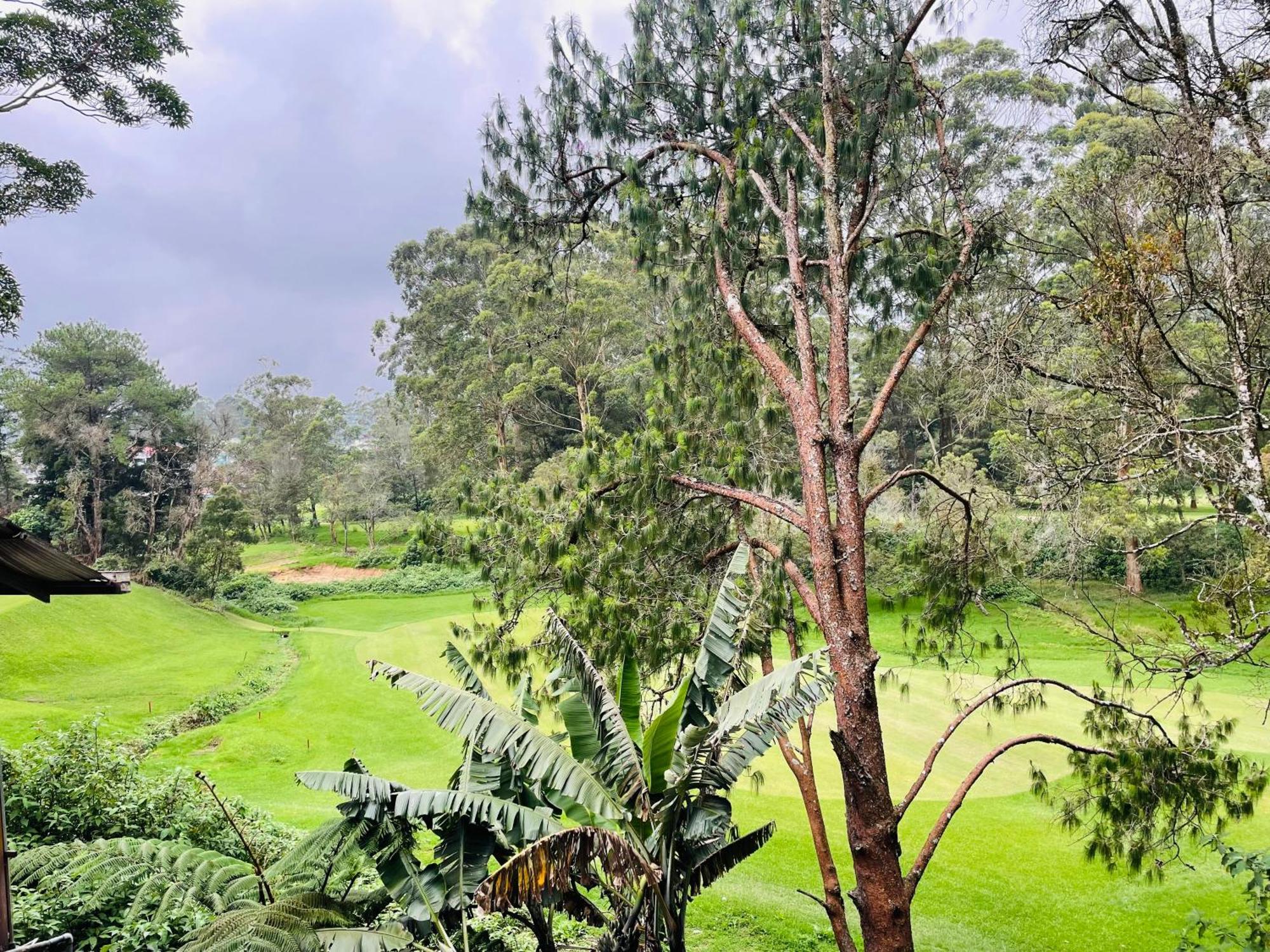 King Fern Cottage Nuwara Eliya Exterior photo
