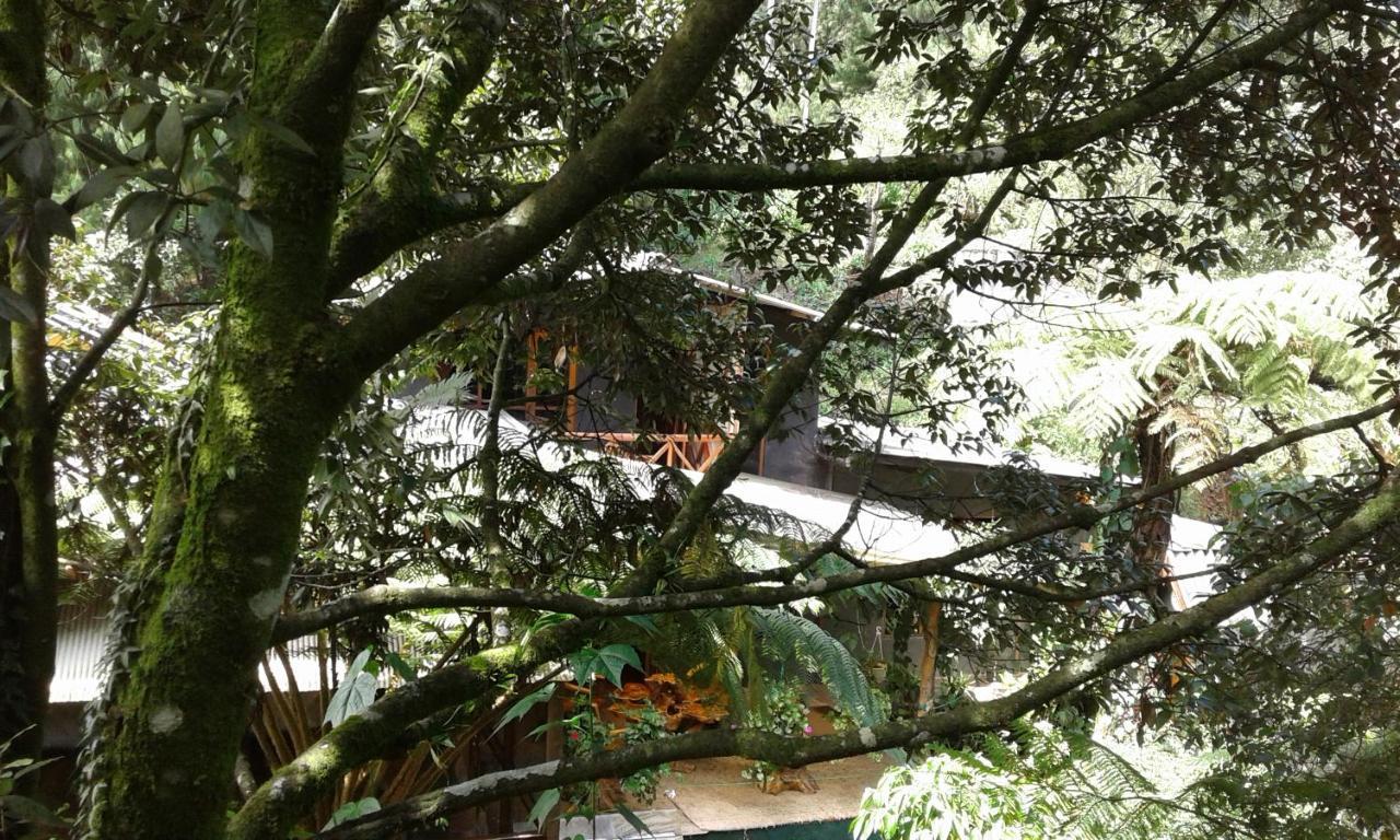 King Fern Cottage Nuwara Eliya Exterior photo