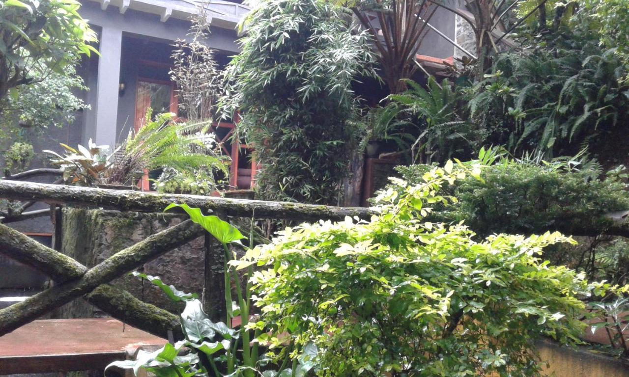 King Fern Cottage Nuwara Eliya Exterior photo