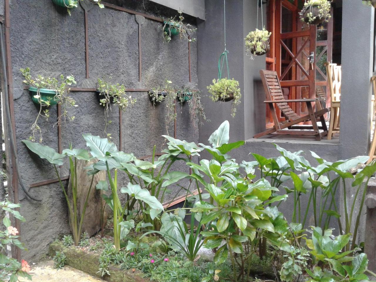 King Fern Cottage Nuwara Eliya Exterior photo