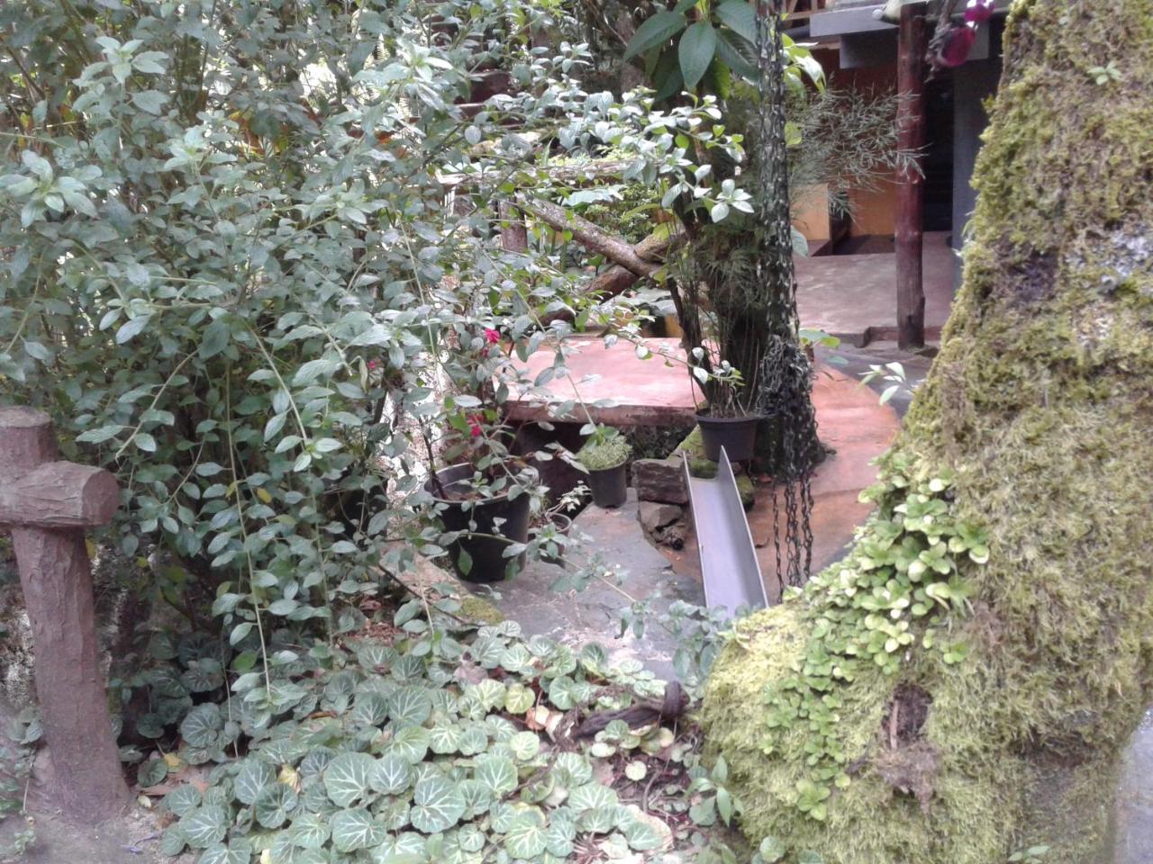 King Fern Cottage Nuwara Eliya Exterior photo