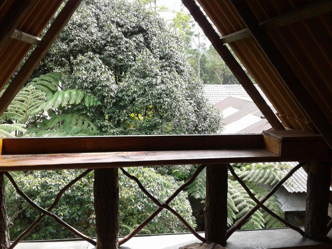 King Fern Cottage Nuwara Eliya Exterior photo