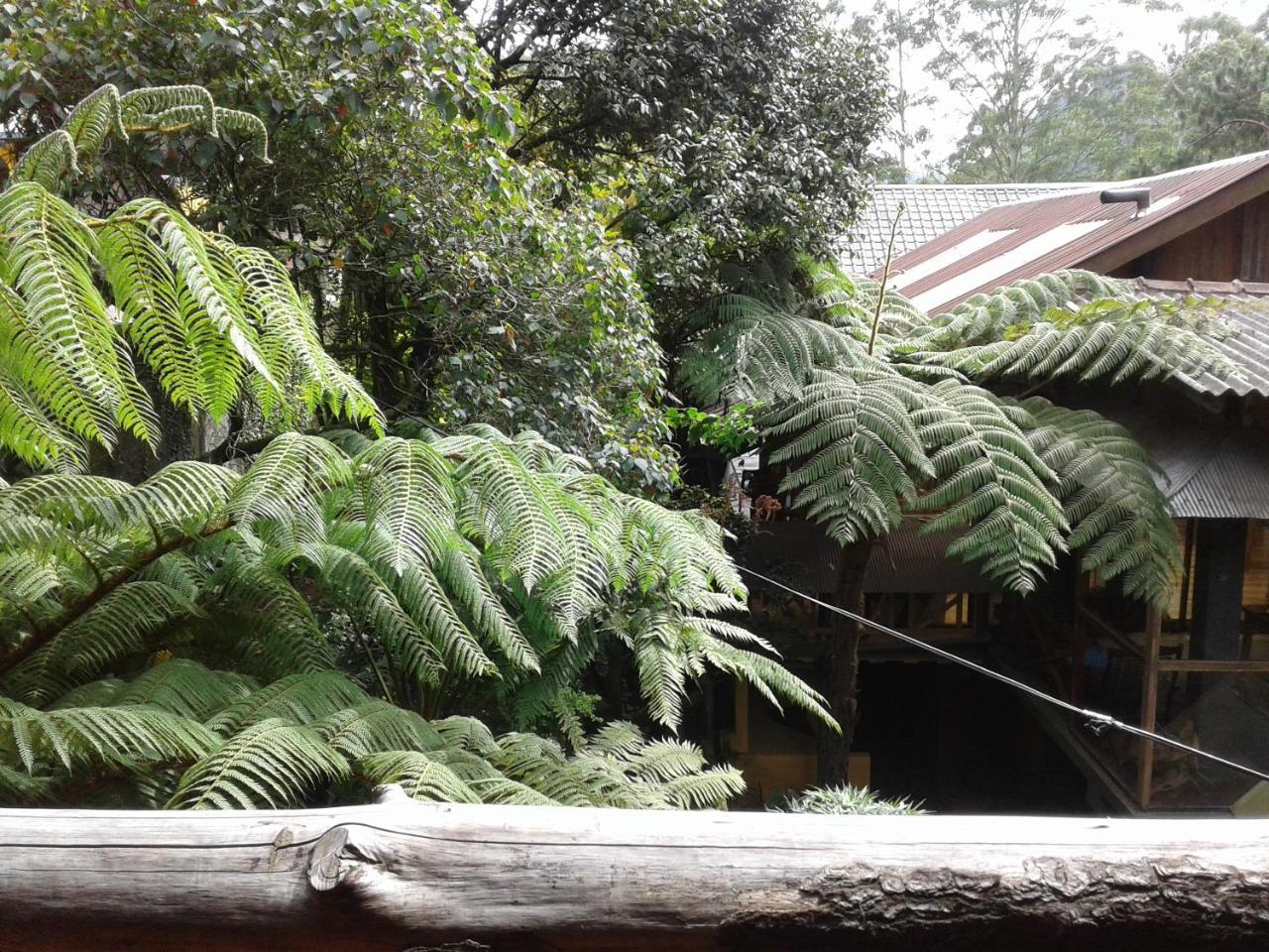 King Fern Cottage Nuwara Eliya Exterior photo